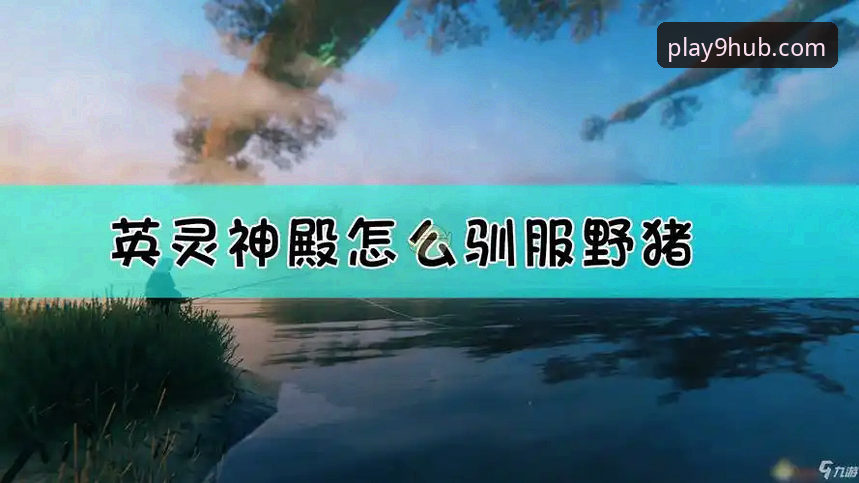 九游版本更新完整指南：从检测到安装的每一步详解